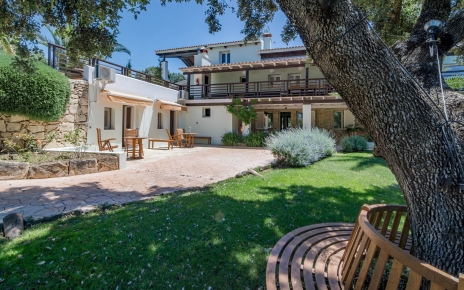 Bancos alrededor de algunos árboles