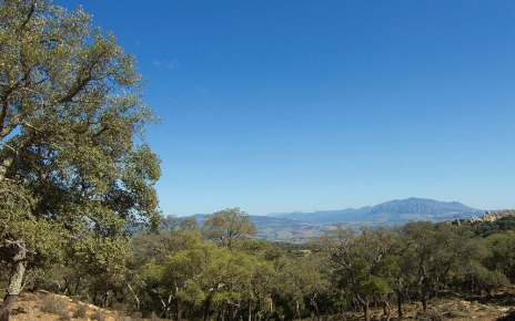 Estás rodeado de bellos paisajes