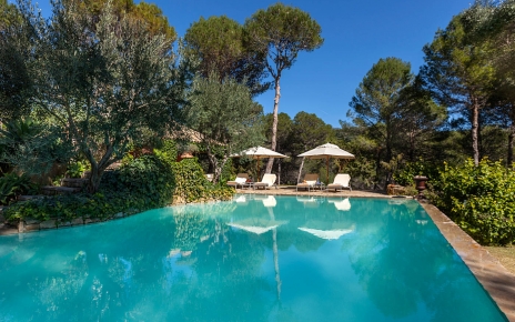 Beautiful large pool