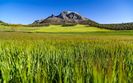 Tu entorno en Andalucía rural