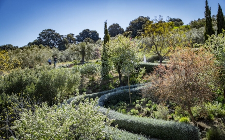 Precioso paseo desde la casa a la zona de piscina