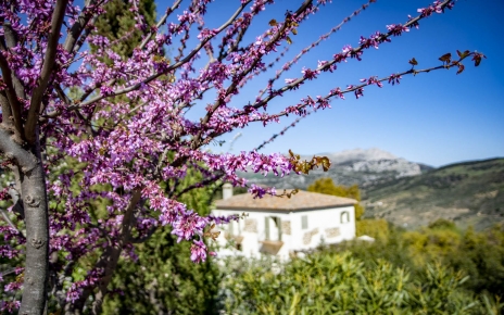Su casa de lujo en la región de Antequera