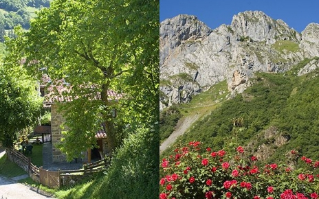 La casa y su entorno.