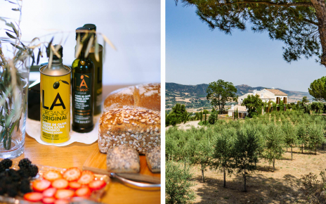 Organic olive oil making finca