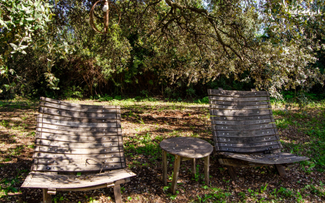 Encuentra tu rincón favorito en los jardines