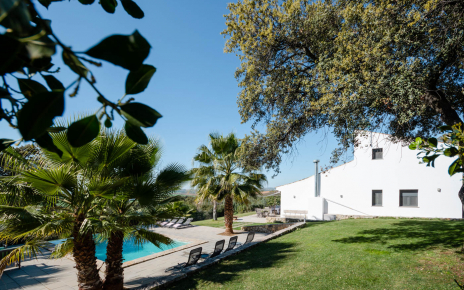 Jardines con césped