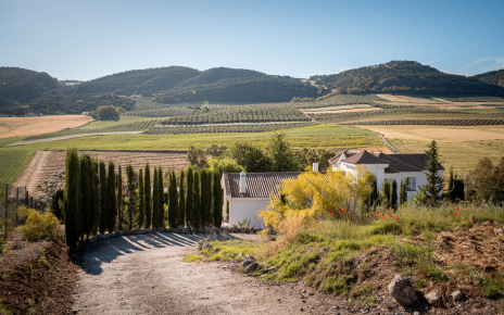 Pista privada a la finca