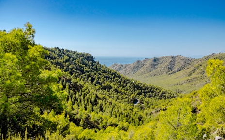 View close to Frigiliana Town
