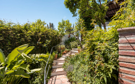 Back patio with steps to Mirador terrace