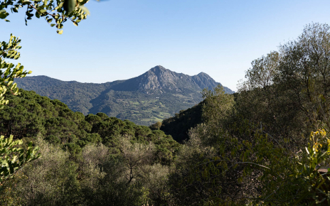Mediterranean nature and gorgeous views