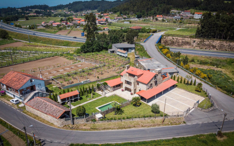 The area if full of vineyards