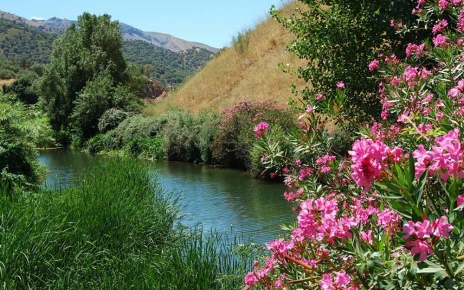 Guadiaro, un río local