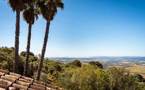 Vistas desde terrazas de la primera planta