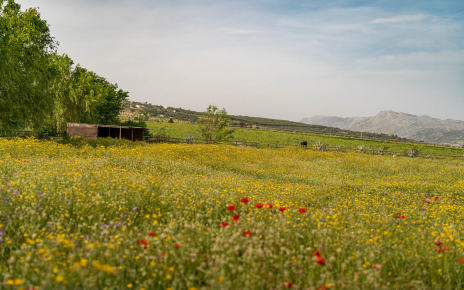 In open countryside with impressive mountains nearby