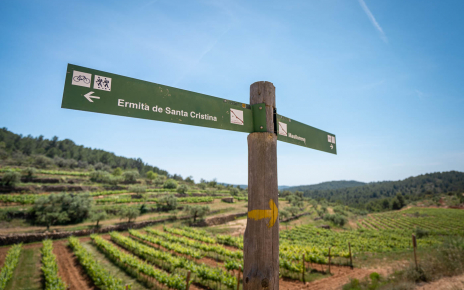 Walks from your holiday property