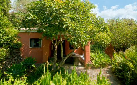 Hidden in tropical gardens