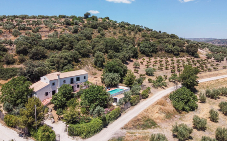 Villa seen from drone