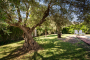 Jardines amplios