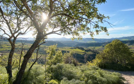 Zonas cercanas de la Serranía de Ronda