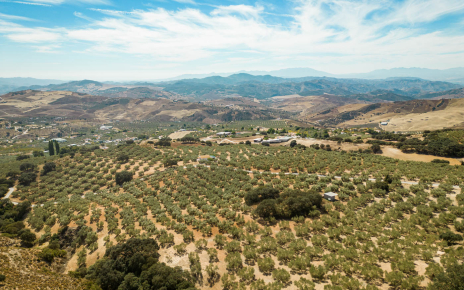 Ubicación de la villa (zona de Antequera - El Torcal)