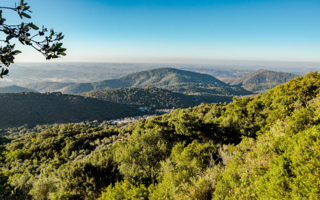 The area is beautiful