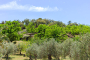 La casa está escondida en el bosque
