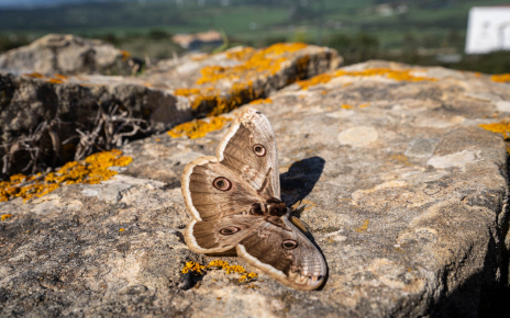 Maravillosa ubicación para amantes de la naturaleza