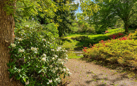 Pista que da acceso a la casa