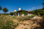 Extensive back gardens