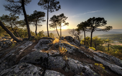You are in Gredos National Park