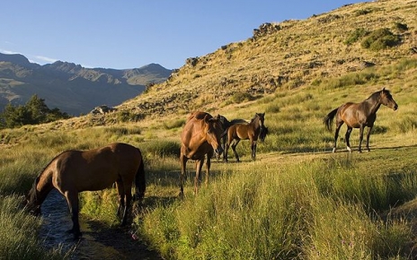 Montañas mediterráneas locales