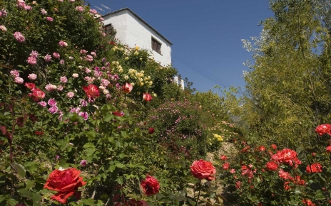 Propiedad vista desde abajo (jardín de rosas)