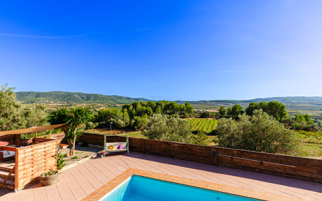 Vistas infinitas a los viñedos