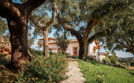 La casa vista desde el caminito a la piscina