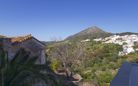 Mid level terrace views