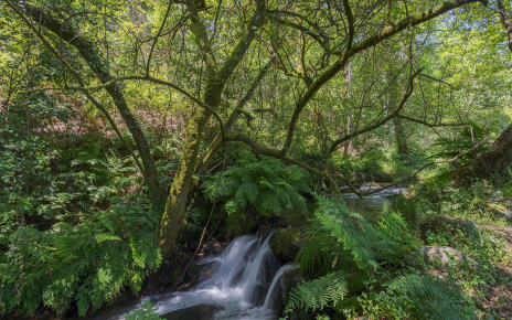 Bonito paseo junto al río