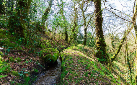Irrigation channel across the estate