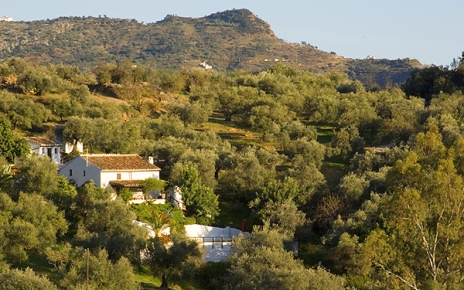 Traditional holiday villa in Axarquia