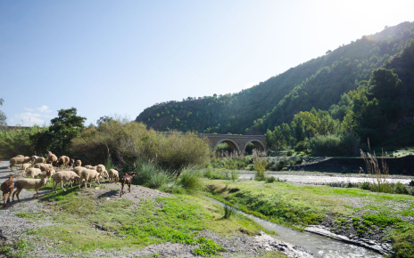 Local walk along Guadalfeo river