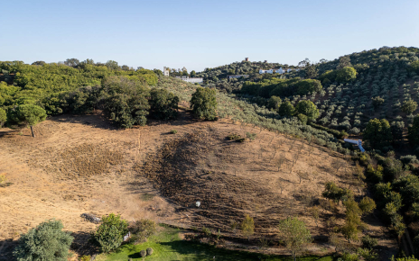 Large private grounds 8 mins walk to town