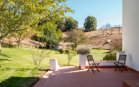 Patio and gardens by the annexe
