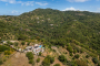 Vibrant Mediterranean nature all around