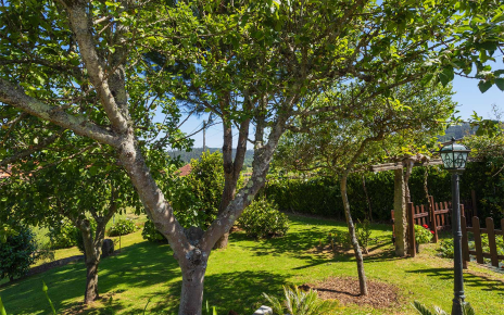 Gardens next to parking area