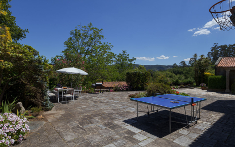 Basketball hoop and portable table soccer
