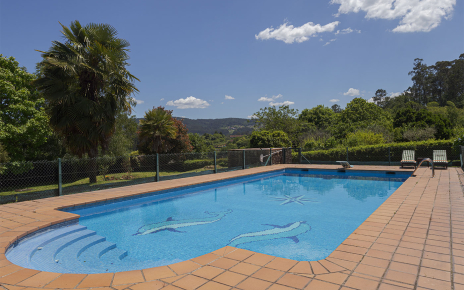 The pool area is surrounded by nature