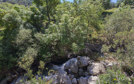 The little river passes by the finca