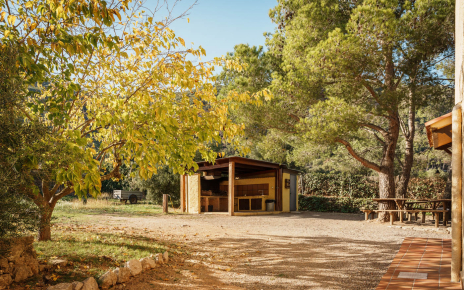Barbecue area, back of the house