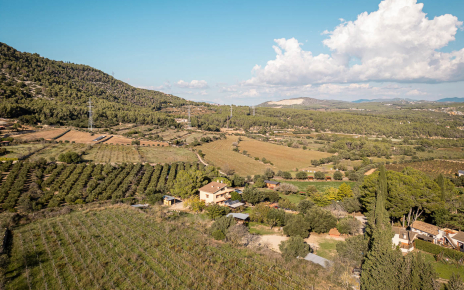 You are in the Garraf National Park