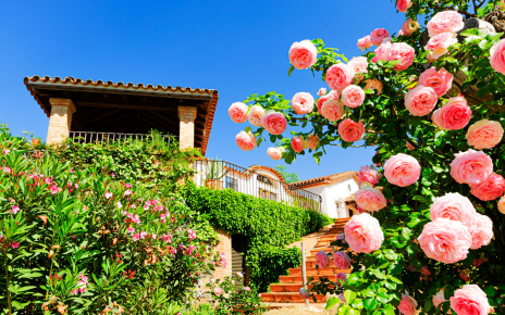Steps up to the villa from gated pool area