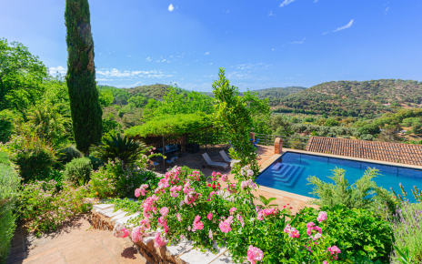 The pool seen from the house
